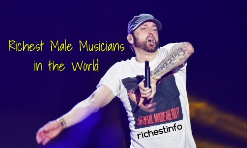 Richest male musician in the world 2022